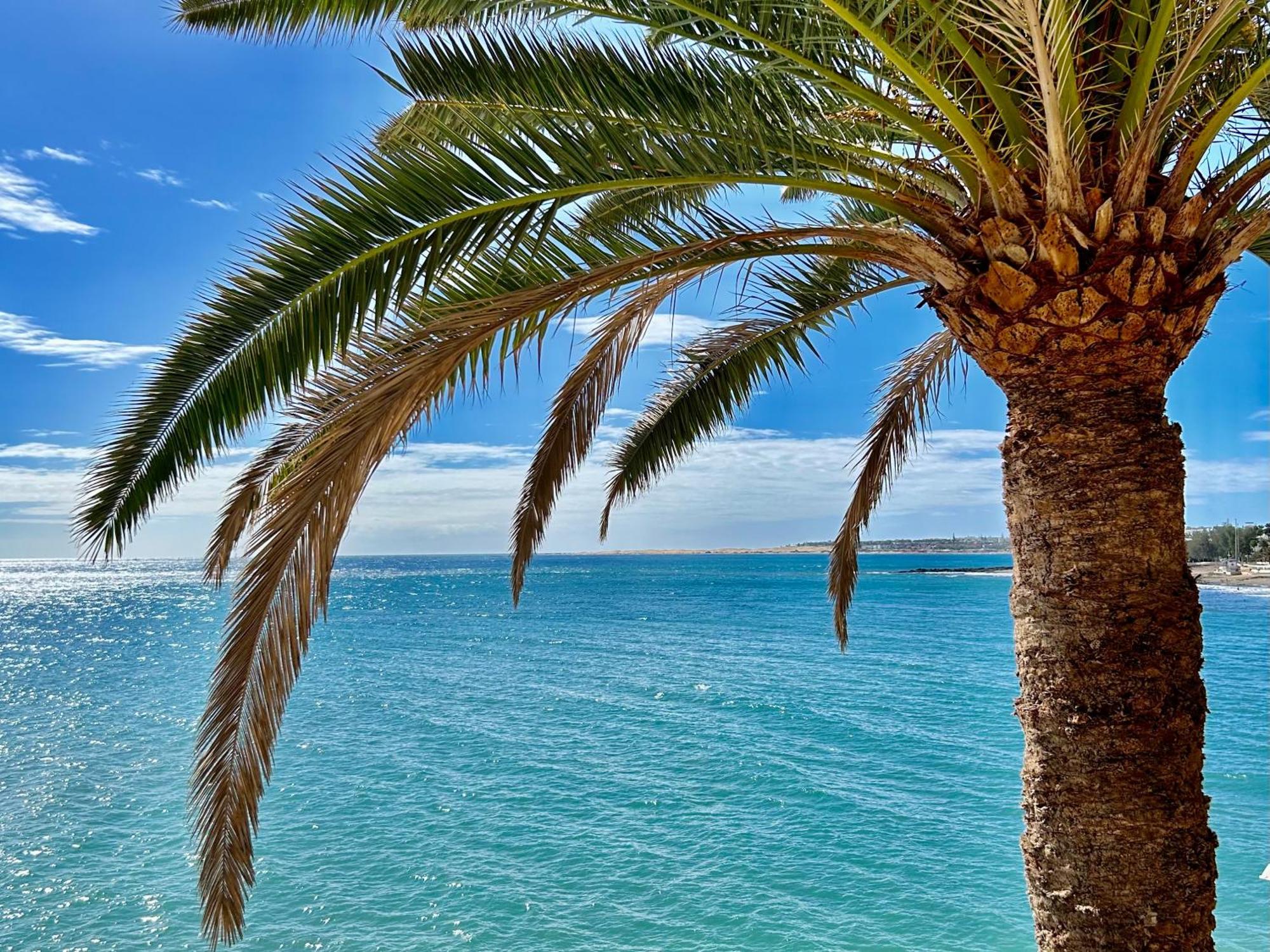 Sobre El Mar Con Vistas A Las Dunas De Maspalomas Сан-Августин Экстерьер фото